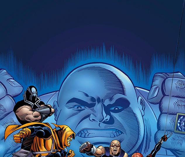 AMAZING SPIDER-GIRL (2008) #5 COVER