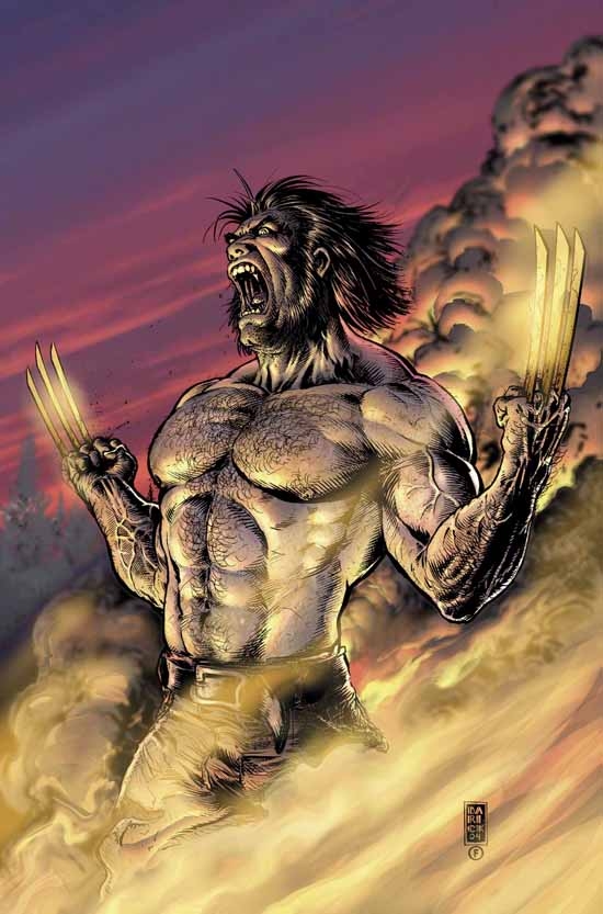 WOLVERINE (2003) #17 COVER