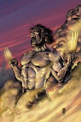 Wolverine #17 