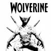 Wolverine (2010) #1 (LEE SKETCH VARIANT)