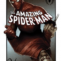 Amazing Spider-Man (1999) #595, Granov Variant