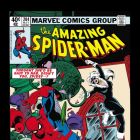 AMAZING SPIDER-MAN (2009) #204 COVER