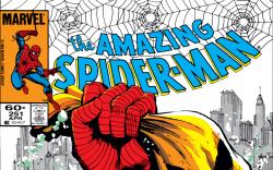 Amazing Spider-Man (1963) #251 Cover