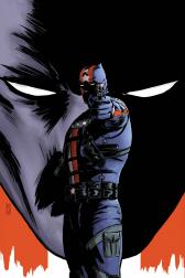 Black Panther: The Man Without Fear #522 