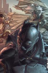 Black Panther: The Man Without Fear #519 