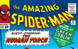 Amazing Spider-Man (1963) #17