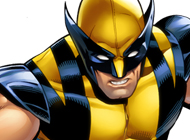 Wolverine Maze