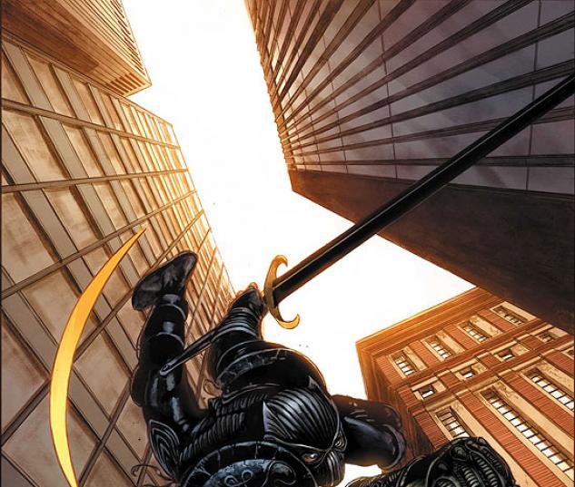 BLACK PANTHER (2008) #22 COVER