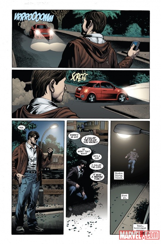 Castle: Richard Castle's Deadly Storm preview page by Lan Medina 