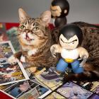 Lil Bub and Wolverine at Marvel HQ