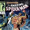 AMAZING SPIDER-MAN (2009) #293 COVER