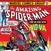Amazing Spider-Man (1963) #171 Cover