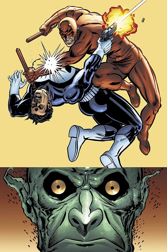 DAREDEVIL VS. PUNISHER (2007) #2 COVER