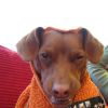 Tampa Bay as The Hobgoblin, submitted by tguru88