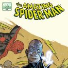 Amazing Spider-Man (1999) #613 (VARIANT)