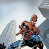 AMAZING SPIDER-MAN (2007) #520 COVER