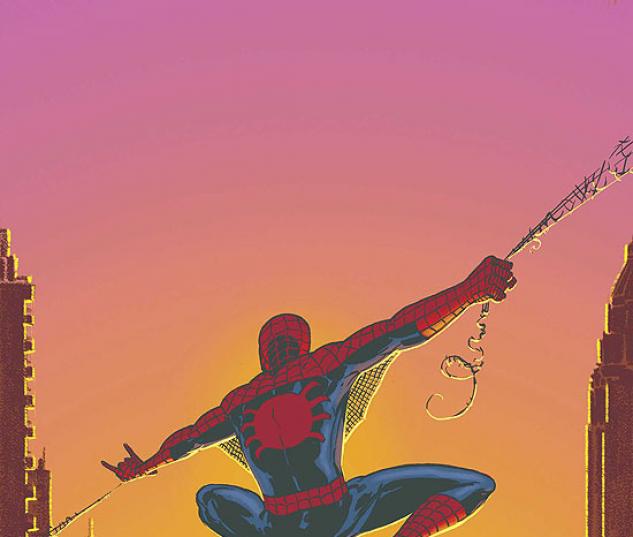 SPECTACULAR SPIDER-MAN (2007) #27 COVER