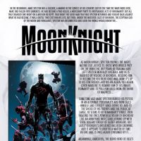 Shadowland: Moon Knight #1 recap page