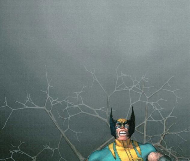 WOLVERINE: FLIES TO A SPIDER #1