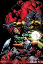 Hulk (2008) #10 (MCGUINNESS (50/50 COVER))
