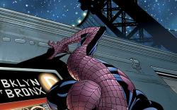 SPIDER-MAN UNLIMITED (2005) #7 COVER