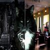 Spitz as Black Suit Spider-Man, submitted by  ruffdesu