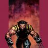 ULTIMATE X-MEN (2003) #41 COVER
