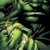 Incredible Hulks #635 cover by Paul Pelletier