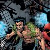WEAPON X (2003) #15 COVER