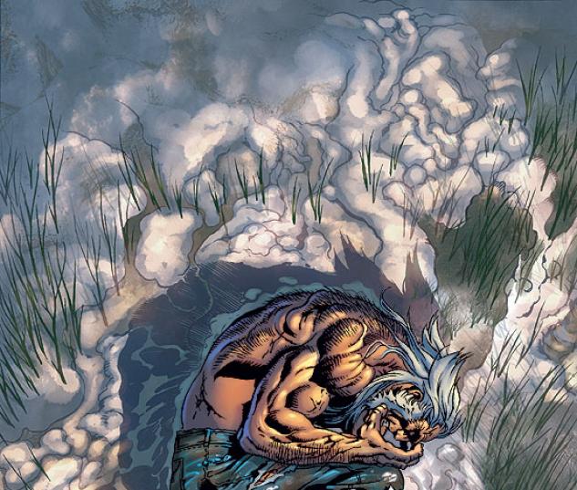WOLVERINE: THE END (2003) #3 COVER