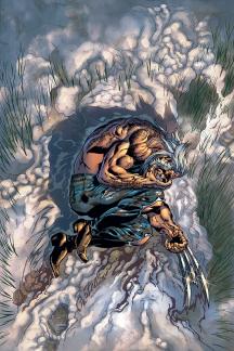 Wolverine: The End (2003) #3