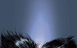 Wolverine #12