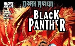 Image Featuring Black Panther