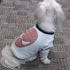 Dixie in a Spider-Man shirt, submitted by Marvel Entertainment