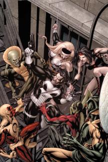 The Punisher (2011) #6