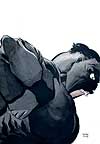 Hulk: Gray (2003) #4