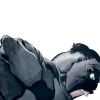 HULK: GRAY (2004) #4 COVER