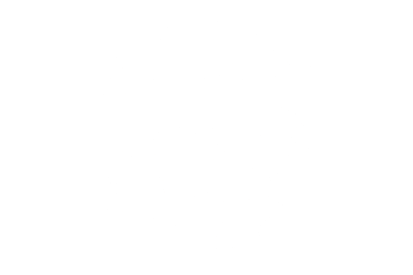 FF Series