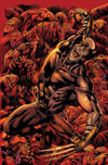 X-Force Special: Ain't No Dog (2008) #1