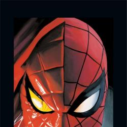 Universe X: Spidey #1