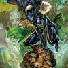 Black Panther (Shrui) by Ken Lashley