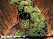 Marvel Adventures: Hulk #14