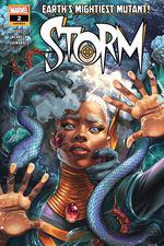 Storm (2024) #2 cover