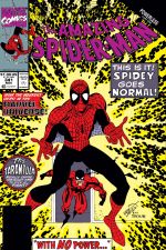 The Amazing Spider-Man (1963) #341 cover