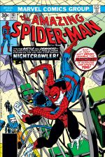 The Amazing Spider-Man (1963) #161 cover