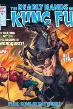 Deadly Hands of Kung Fu (1974) #30 cover