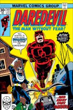 Daredevil (1964) #141 cover