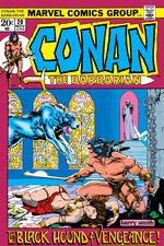 Conan the Barbarian (1970) #20 cover