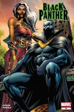 Black Panther (2005) #36 cover