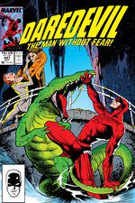 Daredevil (1964) #247 cover